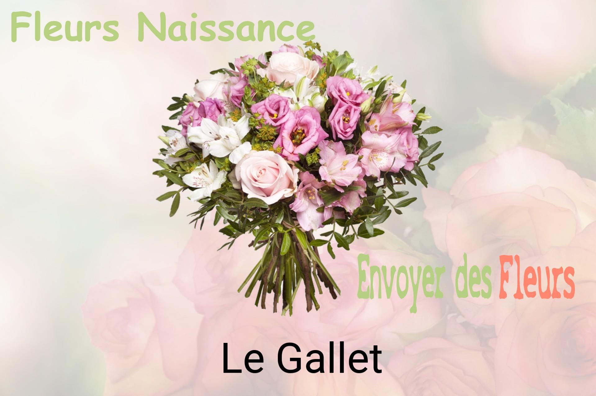 Bouquet de fleurs de naissance livré à Le Gallet
